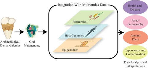 Figure 1. Schematic illustrating a multiomic framework for the study of archaeological dental calculus.