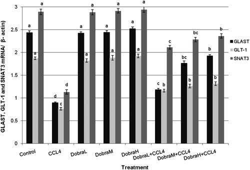 Figure 3. The alteration of GLAST, GLT-1 and SNAT3-mRNA in liver tissues of male rats exposed to CCl4 and/or D. glabra leaves extract. DGE: D. glabra extract, DGE L: 50 mg/kg bw, DGE M: 100 mg/kg bw and DGE H: 200 mg/kg bw of D. glabra extract. Data are presented as mean ± SEM. a,b,c,d, are significantly different (p ≤ 0.05).