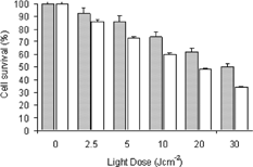 Figure 4 Effect of light dose on cell survival of P388-D1. □-Incubation with 50 μ M of BChl-a and ▪-BChl-a encapsulated in nanoparticles (MTT test). Each set of experiments described so far was repeated at least three times. Results were reported as mean ± standard deviation in text, and statistical analysis was performed using a two-tailed Student's t-test.