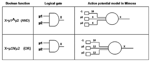 Figure 3 Boolean functions are represented in the first column. In the second column, logical gates are represented, which are commonly observed inside the integrated circuit of an electronic circuit. The right column presents the action potential model in Mimosa.