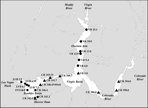 Figure 1 Location of Lake Mead zooplankton sampling stations (CR = Colorado River, LVB = Las Vegas Bay, VR = Virgin River). ▴ = Colorado River Stations; • = Overton Arm Stations; • ▪ Boulder Basin Stations.