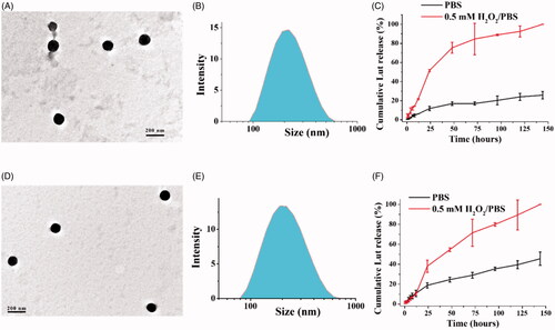 Figure 2. Characterization of Lut/Oxi-αCD NPs (A–C) and Lut/FA-Oxi-αCD NPs (D–F). The morphology of NPs observed by TEM (A,D). The size distribution of NPs determined by DLS (B,E), and the in vitro drug release behavior of NPs with or without 0.5 mM H2O2 (C,F).