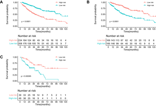 Figure 3 Overall survival curves obtained with Kaplan-Meier analysis between different INS groups. (A) Survival curves for all patients. (B) Survival curves in the training cohort. (C) Survival curves in the validation cohort.
