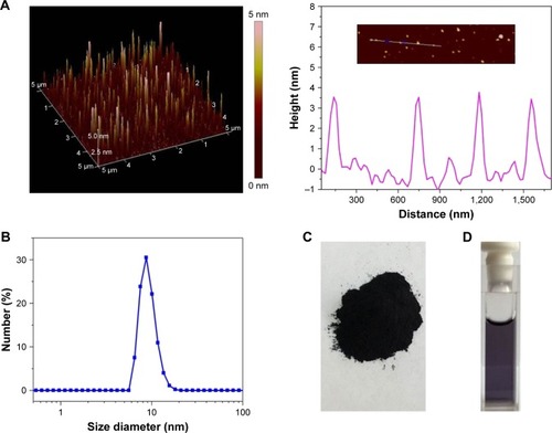 Figure 1 Characterization of GA-Fe@BSA NPs.Notes: (A) 3-D AFM topography and height profile (measurements along a line are given after AFM imaging); (B) hydrodynamic size; (C) powder prepared in one synthesis reaction; (D) aqueous solution of GA-Fe@BSA NPs.Abbreviations: GA, gallic acid; NPs, nanoparticles; AFM, atomic force microscopy.