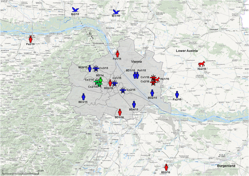 Fig. 1 Map showing the geographic distribution of WNVs identified in Austria during the transmission seasons 2014–2016.Green symbols indicate WNV cases in 2014Citation18; blue symbols in 2015 (this paper) and red symbols in 2016 (this paper)