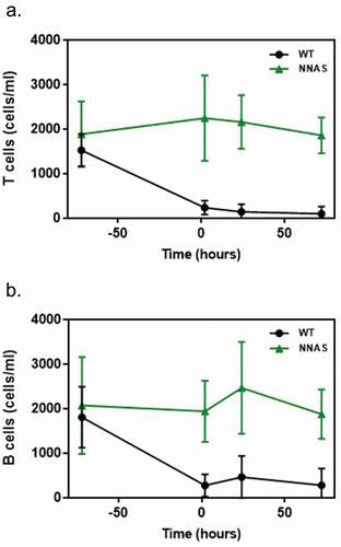 Figure 4. Comparison of the in vivo lymphocyte depletion of wild-type and NNAS mutant. (a) T cell depletion was determined in human antigen-specific transgenic mice (n = 10 per group) at different timepoints after injected with mAb1 wild-type and NNAS mutant. (b) B cell depletion was measured in human antigen-specific transgenic mice (n = 10 per group) at various timepoints after injected with mAb1 wild-type and NNAS mutant.