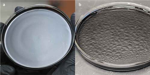 Figure 1. Digital images of graphene oxide film (A) drop casted on quartz glass substrate and (B) film immediately after chemical reduction through L-AA