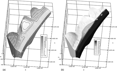 Fig. 6 Ensemble average maps for the 100 realizations: (a) head H (m); and (b) relative concentration C (‐).