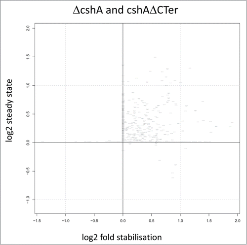 Figure 5. Correlation of half life and steady-state levels. Scatterplot showing correlations between the changes in steady state level of RNAs a time point 0 and in the half-life from the ΔcshA and cshAΔCter mutants as compared to the parent. Each point represents a gene and is positioned on the x-axis according to log2 change in half-life (stabilization), while it is positioned on the y-axis according to log2 of the expression of the gene at time point 0 (steady-state level). Each change is computed in a conservative way making use of all replicates information in a worst case scenario strategy: to estimate the change in steady state level, the normalized gene expression of the 2 parent replicates at time point 0 are compared to the normalized gene expression of the 4 mutants at time point 0; only the combination yielding the smallest change is considered. Half-life change on the y-axis is computed with the same strategy.