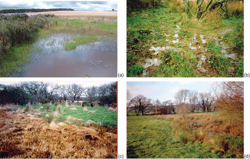 Fig. 1 Photographs showing: (a) an example of a wetland patch in the corner of a field; (b) an area of poached wetland seepage zone under woodland and scrub; (c) an area of overland flow (indicated by the bright green patch of grass) along a disrupted ditch network at Kismeldon Meadows, Devon, UK; and (d) a linear wetland formed in a former river channel across a floodplain.