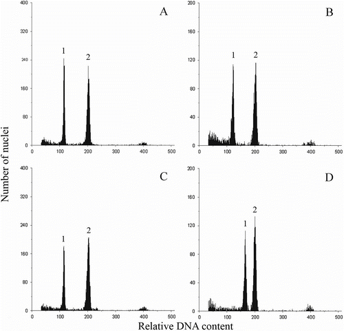 Figure 7 DNA histograms of nuclear preparation from leaves of four Miscanthus genotypes. (A) M. sinensis M07 (2n  =   38). (B) M. sinensis cv. Gracillimus (2n  =   38). (C) M. sacchariflorus M115 (2n  =   38). (D) M.   ×  giganteus (2n  =   57). 1: peak G0/G1 of Miscanthus; 2: peak G0/G1 of internal standard (P. sativum, 9.11 pg/2C).