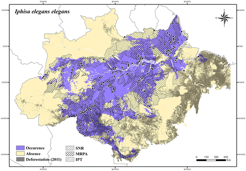 Figure 46. Occurrence area and records of Iphisa elegans elegans in the Brazilian Amazonia, showing the overlap with protected and deforested areas.