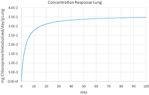 Figure 8. Inhaled concentration dependence of lung metabolism in the human for continuous exposures to chloroprene predicted with the PBPK model.