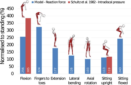 Figure 10. Comparison between in vivo intradiscal pressure measured by Schultz et al. (Citation1982) and joint reaction forces in the model at L3-L4 level.