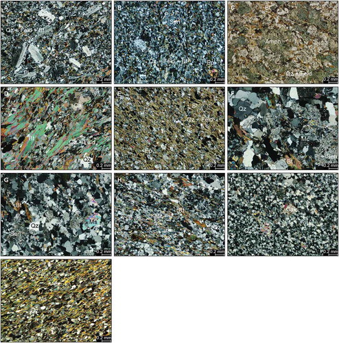 Figure 5. Transmitted light photomicrographs of the various rocks in the Liikavaara Östra Cu-(W-Au) deposit. A. Euhedral plagioclase phenocrysts in the matrix of a metavolcaniclastic rock of the hanging wall. B. Altered feldspar phenocrysts in the matrix of a metavolcaniclastic rock of the footwall. C. Amphibole gneiss. D. Biotite-amphibole gneiss. E. Biotite schist. F. Granodiorite. G. Aplite. H. Biotite-altered aplite. I. Quartz-dominated aplite. J. Muscovite-altered quartz-dominated aplite. Note: 5 C is taken with plane polarised light, the rest with crossed polarised light. Abbreviations: Amph – amphibole, Bt – biotite, Cal – calcite, Ep – epidote, Feld – feldspar, Mc – microcline, Ms – muscovite, Pl – plagioclase, Qz – quartz, Seri – sericite.
