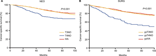 Figure S1 Cancer-specific survival analysis of pT4N0/ypT4N0 patients compared with patients at stage IIIA and pT3N0/ypT3N0 in both SURG (A) and NEO (B) cohorts.