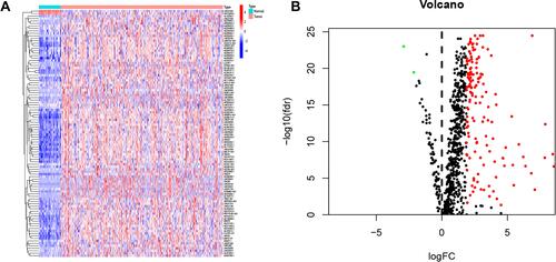 Figure 3 Identification of DEirlncRNAs. (A), Differential expression heatmap of DElncRNAs.Blue represents normal tissues, and orange represents tumor tissues. (B), Volcano plot of DEirlncRNAs. The green and red dots represent the downregulated and upregulated DEirlncRNAs, respectively.