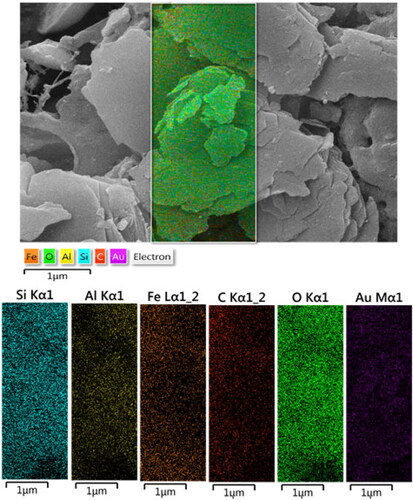 Figure 4. FE-SEM image of Au NPs-kaolin nanocomposite with its elemental mapping.