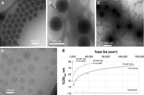 Figure 1 (A) Direct cryo-TEM imaging of polybead PS-NPs and liposomes.Notes: (A–D) NPs and liposomes of 200, 500, and 750 nm diameter, respectively. (E) Surface hydrophobicity of PS-NPs assessed by the adsorption of transmission electron microscopy, Rose bengal in NPs. The x-axis is the SA and the y-axis percentage change of OD550, calculated thus: %OD550 = ODno particles − ODparticles/ODno particles. RCitation2 refers to logarithmic fitting. These data reveal fundamental differences between PS-NPs and liposomes, as well as other known therapeutic NPs.Abbreviations: cryo-TEM, cyro-transmission electron microscopy; PS-NPs, polystyrene nanoparticles; SA, surface area.