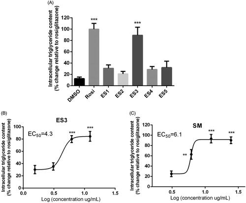 Figure 4. (A) Adipogenic activity of E. sativa extracts tested at their maximum non-toxic concentrations in 3T3-L1 adipocytes, as assessed by triglyceride content at the end of differentiation period. Two-day post-confluent preadipocytes were incubated with the plant extracts on day 0 of differentiation for 8 day. (B) and (C) are dose-response analysis of the adipogenic activities of ES3 and SM, respectively. Cells were incubated with several concentrations of ES3 (1.56, 3.12, 6.25 and 12.5 μg/mL) or SM (3.12, 6.25, 12.5 and 25 μg/mL). Data are represented as mean ± SEM and are expressed as % change in intracellular triglyceride content relative to the positive control rosiglitazone (10 μM), which was set at 100%. Assays were carried out in triplicate. **p < 0.01 and ***p < 0.001 indicate a significant difference from vehicle control. Rosi: rosiglitazone.