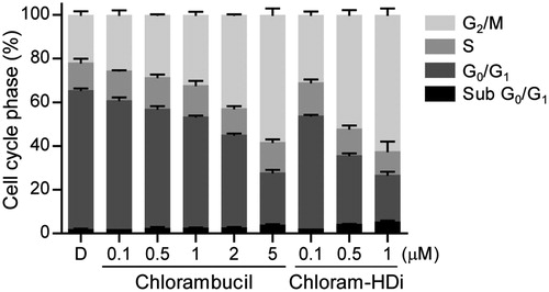 Figure 6. Chloram-HDi induces G2/M cell cycle arrest. The effect of chlorambucil and chloram-HDi on the cell cycle was analysed by flow cytometry. HL-60 cells were treated with the indicated concentrations of chlorambucil and chloram-HDi for 24 h. HL-60 cells were stained with propidium iodide and cell cycle distribution was analysed by flow cytometry. DMSO (D) was used as a negative control.