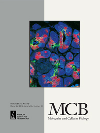 Cover image for Molecular and Cellular Biology, Volume 36, Issue 24, 2016