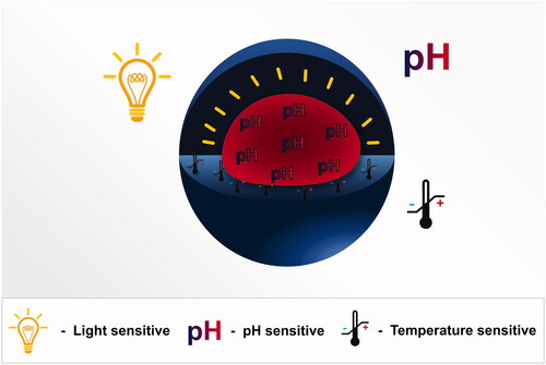 Figure 4. Triple sensitive light, temperature and pH based polymeric micelles.