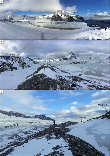 Figure 4. Panoramic view of Lystad Bay branch of (A) Shoesmith Glacier, (B) Terminal and (C) Lateral moraines of Shoesmith Glacier.