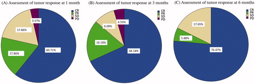 Figure 2. Tumor response after percutaneous ablation therapy based on the Modified Response Evaluation Criteria in Solid Tumor. Abbreviations: CR, complete response; PR, partial response; SD, stable disease; PD, progressive disease.