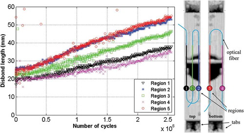 Figure 11. Disbond growth curves from five regions obtained with a strain level of 8200 με and C-scan top and bottom surface images with corresponding measurement regions.