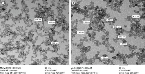 Figure 2 TEM images of ceria NPs.Notes: Scale bars are 20 nm. (A) 120,000× magnification; (B) 200,000× magnification. HV is the accelerated voltage used during analysis.Abbreviations: NP, nanoparticle; TEM, transmission electron micrograph.