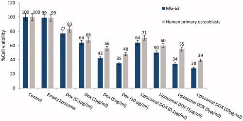 Figure 4. Cell viability on human primary osteoblasts and MG-63 cell line of liposomal formulations with various concentrations, determined after 72 h using Alamar Blue colorometric assay.