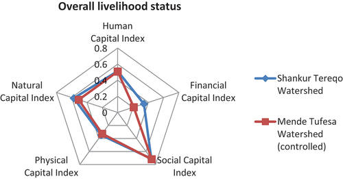 Figure 3. Total livelihood index.