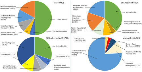 Figure 3. Gene Ontology analysis on total DMCs, DMCs below 30% abs.meth.diff, DMCs between 30% and 70% abs.meth.diff and DMCs above 70% absolute difference in methylation level (abs.meth.diff.).