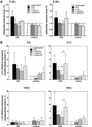 Figure 5 Effects of liposomal and free curcumin on LPS-challenged organotypic brain slices, regarding cytotoxicity (A) and alteration of mRNA expression of pro-inflammatory cytokines (B). (A) Murine acute brain slices were treated with 100 µg/mL LPS with or without pre-incubation with 0.01 µM free curcumin or LipoCur for 8 days, and cytotoxicity was measured from supernatants after 2 and 8 div by Cytotoxicity assay. LPS stimulation induced cytotoxicity (black bar) was completely abolished (compare unstimulated control: white bar) by simultaneous stimulation with LipoCur or free Cur, but not by empty liposomes (empty LP, grey bars). Neither curcumin nor LipoCur nor empty LP had significant effects on cytotoxicity in single stimulations (without LPS, grey bars). Measured extinctions were normalized to unstimulated control (=1), and mean values of 3 respective5 independent experiments (± SD) are shown for cytotoxic effects after2 div respective 8 div. Asterisks indicate significant changes to LPS-stimulated slices (*p<0.05, **p<0.001, ***p<0.001), analyzed by Two-Way-ANOVA followed by Bonferroni’s multiple comparison test. (B) Analyses of effects of LipoCur and free Cur on the expression of cytokines revealed that both could at least in trend reduce LPS-induced upregulation of inflammatory genes IL1β, IL6, and TNFα. TGFβ was not induced by LPS at 8 div, and consequently not affected by LipoCur or free Cur. Graphs show mean ΔΔCT values ± SD representing the n-fold expression in comparison to unstimulated controls. Data have been analyzed for statistical significance by Two-Way-ANOVA followed by Bonferroni’s multiple comparison test. Asterisks indicate significant changes to LPS-stimulated slices or between stimulations (*p<0.05, **p<0.001, ***p<0.001).