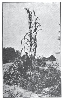 Figure 3: From Rómulo Escobar’s early 20th century works on dryland farming PHOTO COURTESY OF OMAR TESDELL