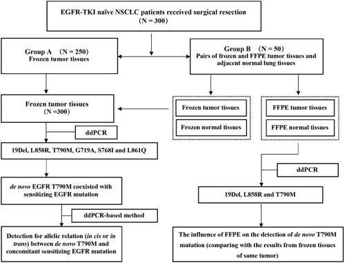 Figure 1 The flowchart of the study design.