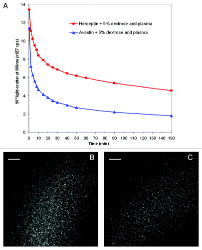 Figure 4. Changes in time in the 90° light-scattering at 500 nm of solutions of 5% dextrose of Herceptin® (red) and Avastin® (blue) mixed with human plasma (A). Ten microliters of human plasma were mixed with 3 ml of 5% dextrose. After recording the 90° light-scattering at 500 nm of the plasma-dextrose mixture, 20 μl of Herceptin® or Avastin® or 40 μl of Remicade® antibody stock solutions were added in the cuvettes. The final antibody concentrations in the cuvettes were 0.14 mg/ml for Herceptin® and 0.17 mg/ml for Avastin®. The 90° light-scatter at 500 nm of human plasma alone was subtracted from the 90° light-scatter of Herceptin® (red) and Avastin® (blue) plasma mixtures. Light microscopy pictures of human plasma mixed with 5% dextrose solutions of Herceptin® (1.06 mg/ml) were taken 1 min (B) and 7 min (C) after mixing.