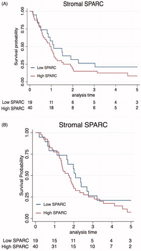 Figure 2. Kaplan–Meier curve of disease- free survival (A) and overall survival (B) stratified by SPARC expression.