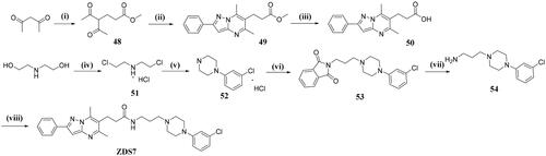 Scheme 7. Reagents and conditions:(i) methyl acrylate, MeONa, 100 °C, 3 h; (ii) 3-amino-5-phenylpyrazole, EtOH/AcOH, N2, 80 °C, overnight; (iii) NaOH, EtOH/H2O, reflux, 3 h; (iv) SOCl2, DCM, rt to reflux, 0.5 h; (v) 2-chloroaniline, 150 °C, 12 h; (vi) N-(3-bromopropyl) phenylenediamine, K2CO3, CH3CN, Ar2, reflux, 14 h; (vii) 80% N2H4-H2O, EtOH, reflux, 2 h; (viii) 50, HATU, DIPEA, DCM, rt, overnight.