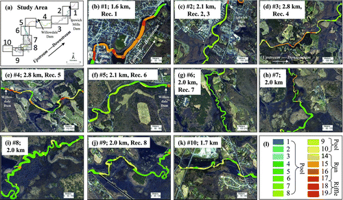 FIGURE 2 For (a) the 10 areas in the 20.6-rkm study area, panels (b)–(k) show the amounts and locations of 19 habitat units with (l) the codes for habitat units. The descriptions of the habitat units were adapted from McCain et al. (Citation1990) and are shown in Table 2. Also indicated in each panel are the area number, the total length of each area in river kilometers, and the radiotelemetry receivers located in each area. The dominant habitat units were nontrench pools (0.22 km2), shallow-water pools (0.12 km2), and trench–chute pools (0.11 km2).