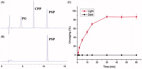 Figure 3. HPLC profiles after (A) and before (B) NIR irradiation. HPLC analysis of the uncaging of PSP by NIR irradiation (C). The responses of PSP was plotted versus time following the illumination of NIR light (λ = 740 nm, 3.48 × 1012 photon s−1) or kept in the dark at 37 °C.