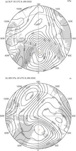 Fig. 1 (a) SLP pattern at 00 UTC 8 January 2002 when the lowest January central pressure was diagnosed (contour interval is 5 hPa). In the M10 scheme the centre of the cyclone was located at 5.1°E, 81.4°N (indicated in Figure) and had a central pressure was 938 hPa. (b) 300 hPa geopotential height at the same synoptic time (contour interval is 50 m).