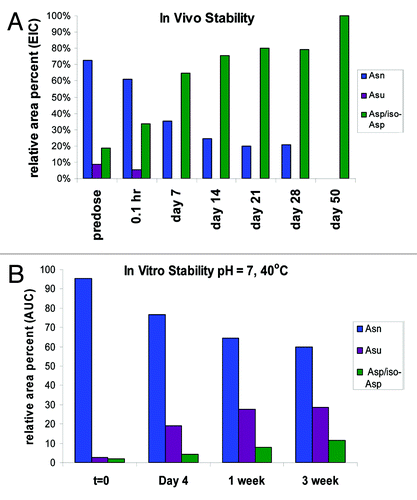 Figure 10. (A) In vivo stability of mAb-1 recovered from serum (B) In vitro stability of HIC fractionated peak 3 at pH 7 and temperature of 40°C for 3 weeks. Studies in vivo show increase in total deamidation over time and loss of stability of the succinimide (Asu) intermediate.