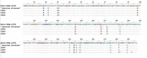 Figure 3. Variations were found in EV-A71 (VP1) of our study. ‘‘·’’ indicates matching to the BrCr-USA-1970.