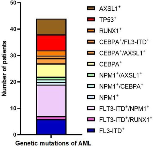 Figure 2. Frequency of mutation combinations in the acute myeloid leukaemia gene.