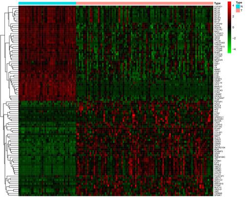 Figure 1 Heatmap of the differentially expressed genes in early hepatocellular carcinoma. Red, upregulated. Green, downregulated. T, tumour. N, normal. 4, 4, level of gene expression.