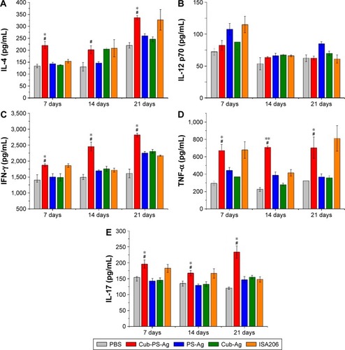 Figure 5 Production of cytokines in the serum of BALB/c mice.Notes: (A) IL-4, (B) IL-12, (C) IFN-γ, (D) TNF-α, and (E) IL-17 at the indicated time points after first immunization were measured by ELISA. Data are expressed as the mean ± SEM. *P<0.05 and **P<0.01 vs the PS-Ag group, while #P<0.05 vs Cub-Ag group.Abbreviations: Ag, antigen; Cub-Ag, mixture of cubosomes and Ag; Cub-PS-Ag, mixture of cubosome-polysaccharide nanoparticles and Ag; ELISA, enzyme-linked immunosorbent assay; IFN, interferon; IL, interleukin; PBS, phosphate-buffered saline; PS-Ag, mixture of PS and Ag; TNF, tumor necrosis factor; SEM, standard error of the mean.