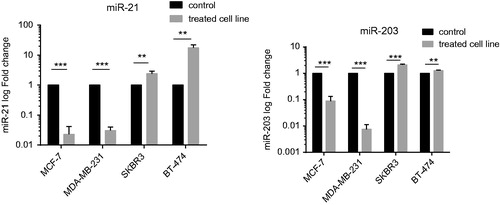 Figure 2. Expression levels of miR-21 and miR-203 before and after treatment with paclitaxel in breast cancer cell lines. Expression levels of Both miR-21 and miR-203 were increased in HER2-positive cell lines including BT-474 and SKBR3 and were decreased in HER2-negative cell lines including MCF-7 and MDA-MB-231 (**p< .005, ***p < .0005).