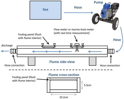 Figure 1. Diagrammatic representation of the flume design. Water was pumped from the sea by a 37,800GPH pump placed on a marina dock. Large hoses and their couplings connected the water source to the pump and flume. The flume was 1.8 m long and 10.2 cm × 5.5 cm in cross-section in the area of the panel chamber. Flume input and output including connecting hoses were 10.2 cm in diameter. The flume hatch allowed panels to be installed flush with the interior walls and a flow/knot meter provided real-time flow data. Control valves at the couplings for the discharge hose allowed flow to be diverted and regulated during panel swaps.